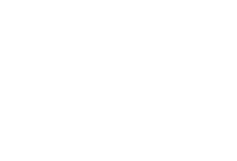 TDG Strategic Consulting